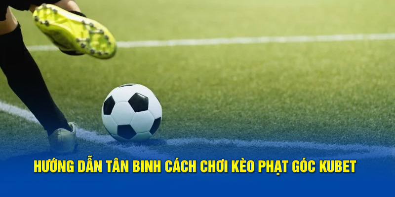 Hướng dẫn tân binh cách chơi kèo phạt góc Kubet