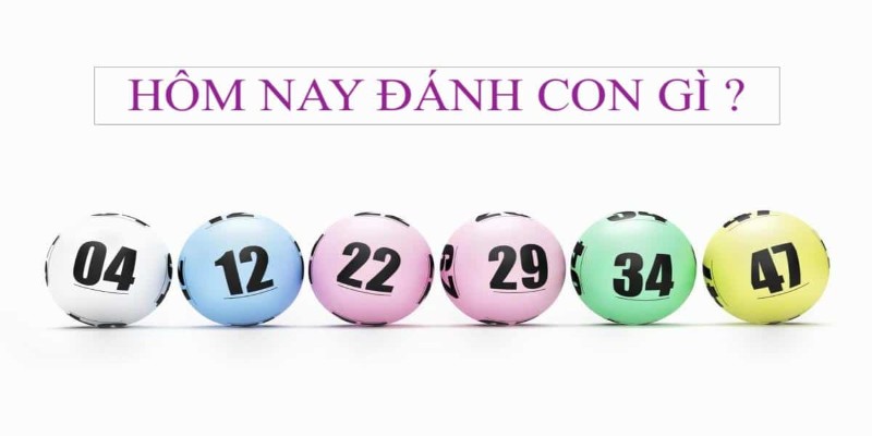 Soi cầu miền Bắc Kubet là bí quyết mang lại tính hiệu quả cao