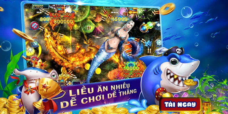 Mẹo Bắn Cá Bingo cực chuẩn đổi thưởng cực đã